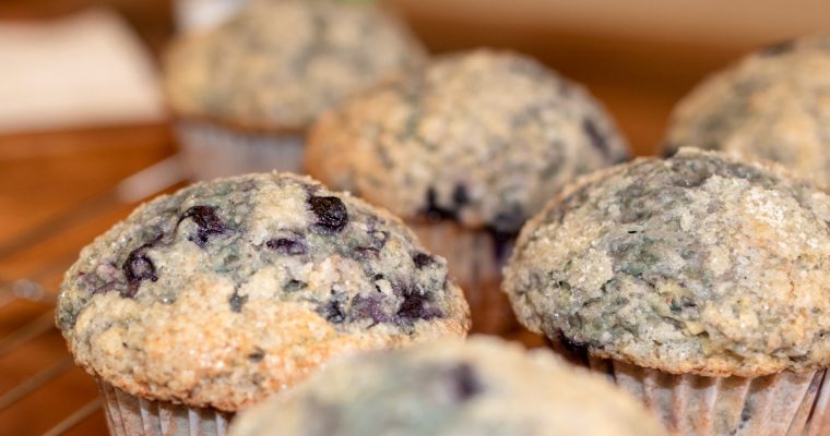 Blueberry Muffins with Greek Yogurt