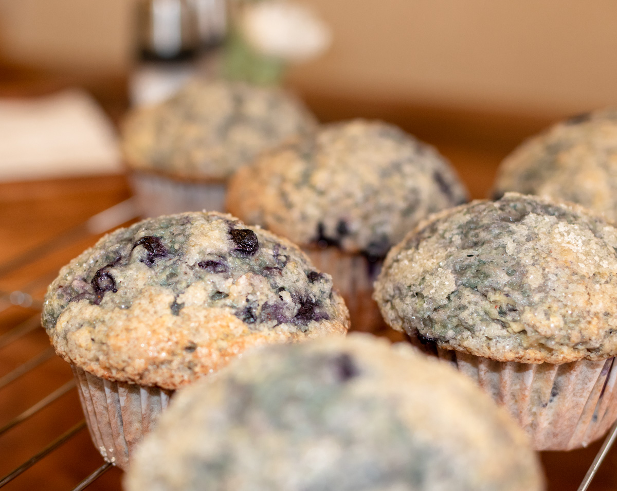 Blueberry Muffins with Greek Yogurt