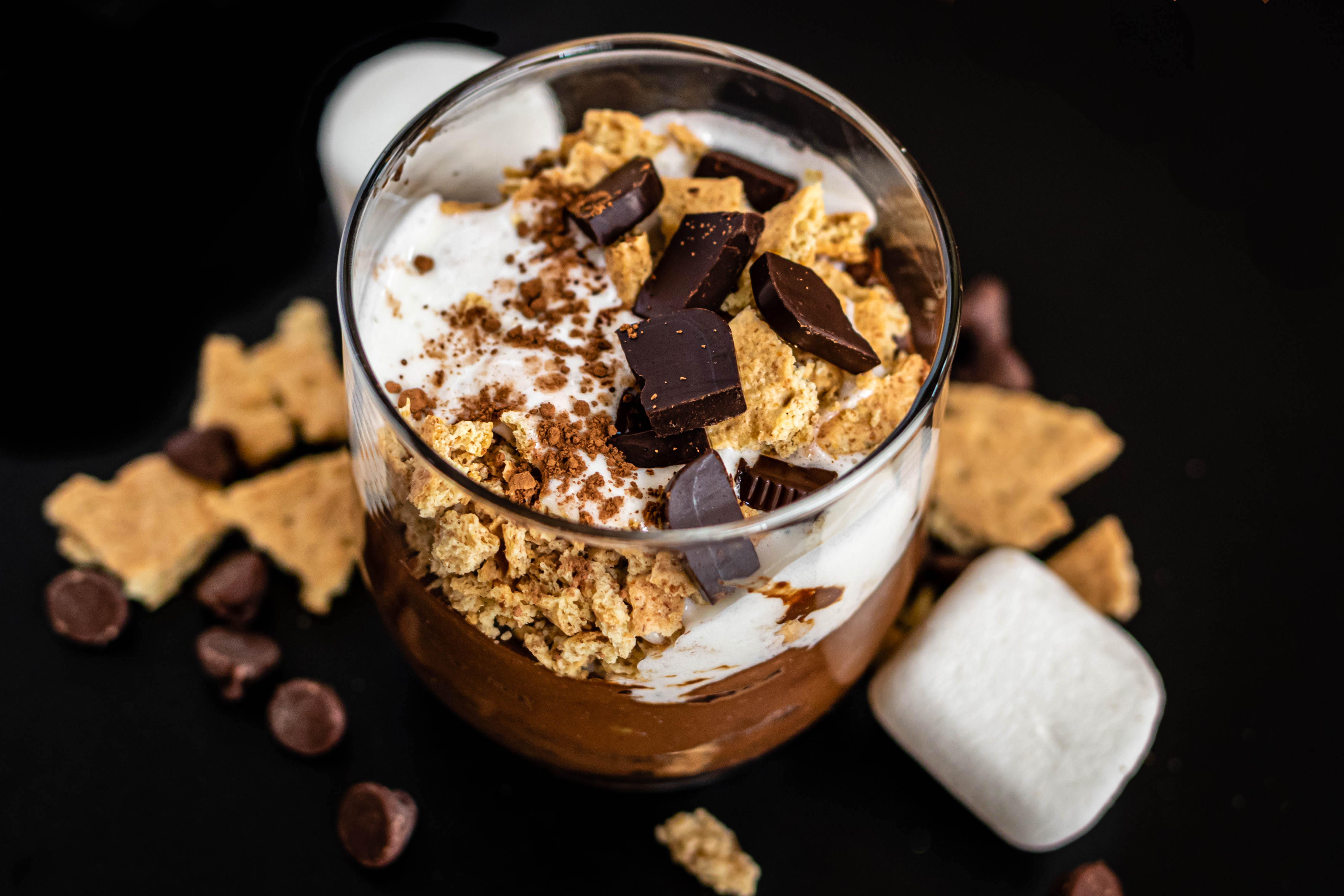 S’mores Chocolate Mug Cake